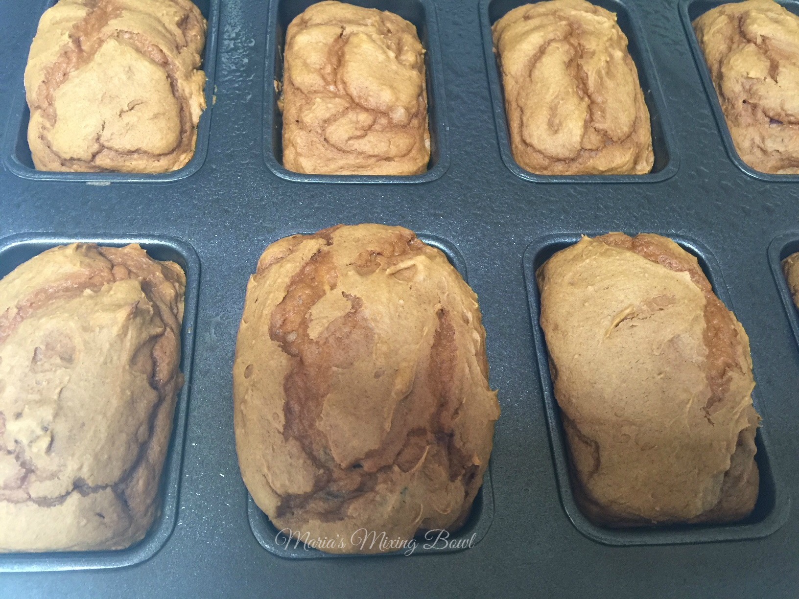 Simple Cranberry Spice Muffins