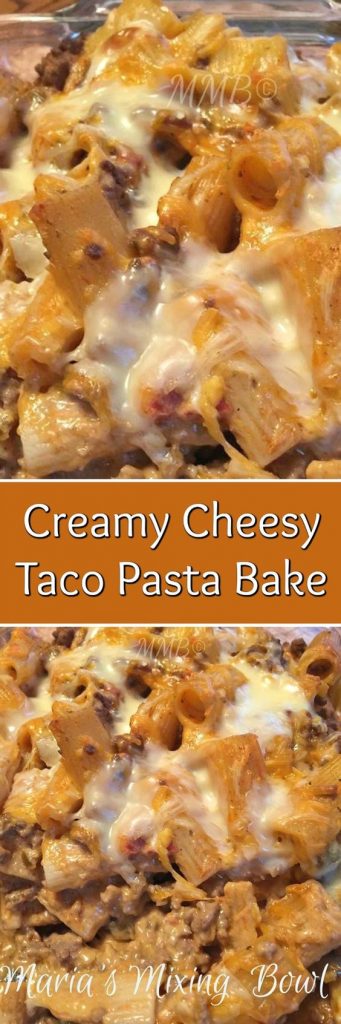 overview of pasta on plate with cheesy pasta 