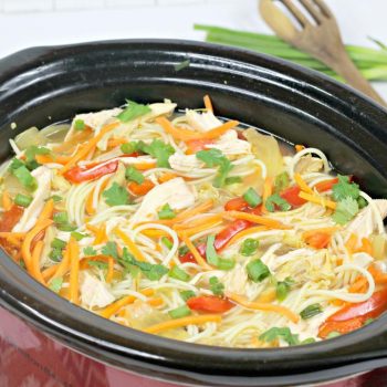 Slow Cooker Asian Chicken Noodle Soup
