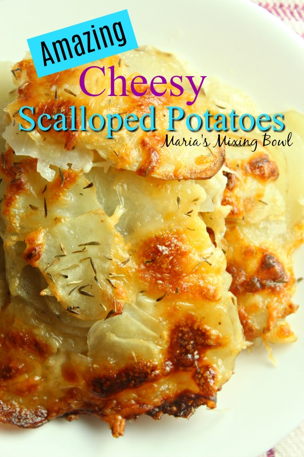 Amazing Cheesy Scalloped Potatoes 
