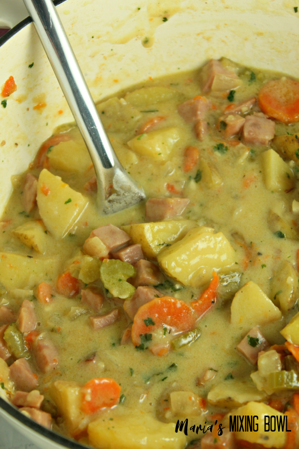 Soup in a pot with a ladle
