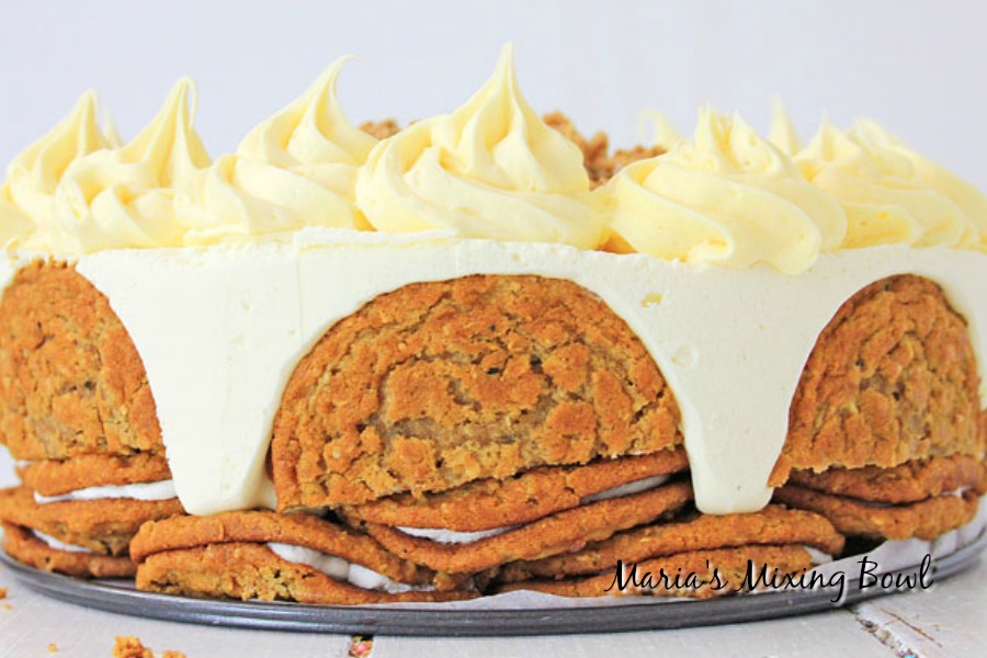side view of a not bake cheesecake with an oatmeal cookie crust and frosting piped on top
