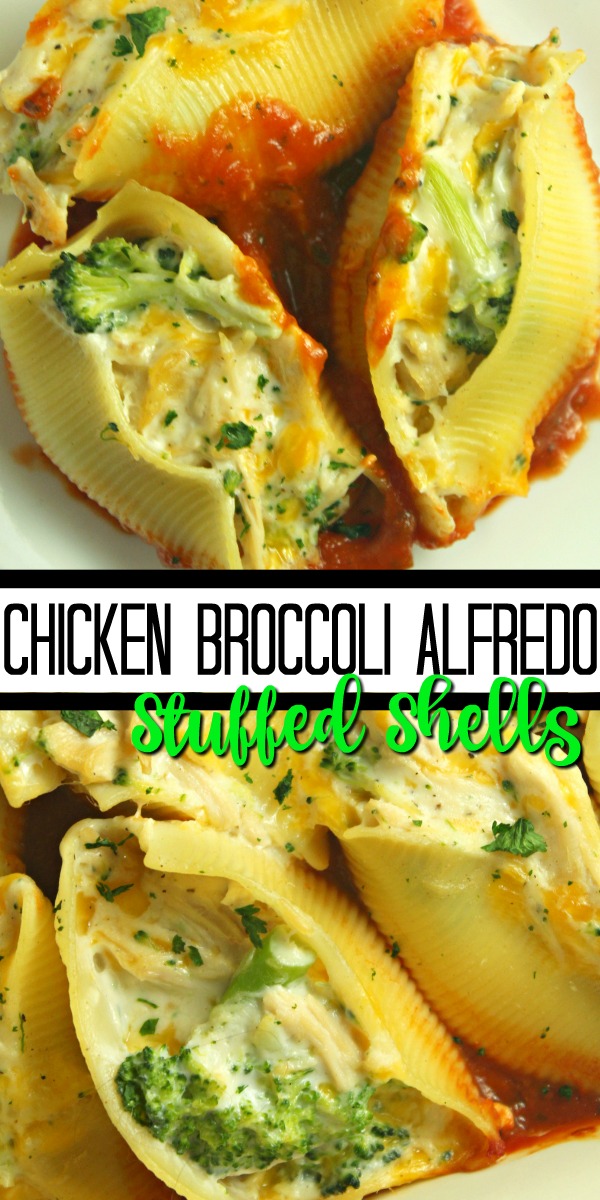 Chicken Broccoli Alfredo Stuffed Shells