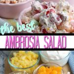 Ambrosia Salad