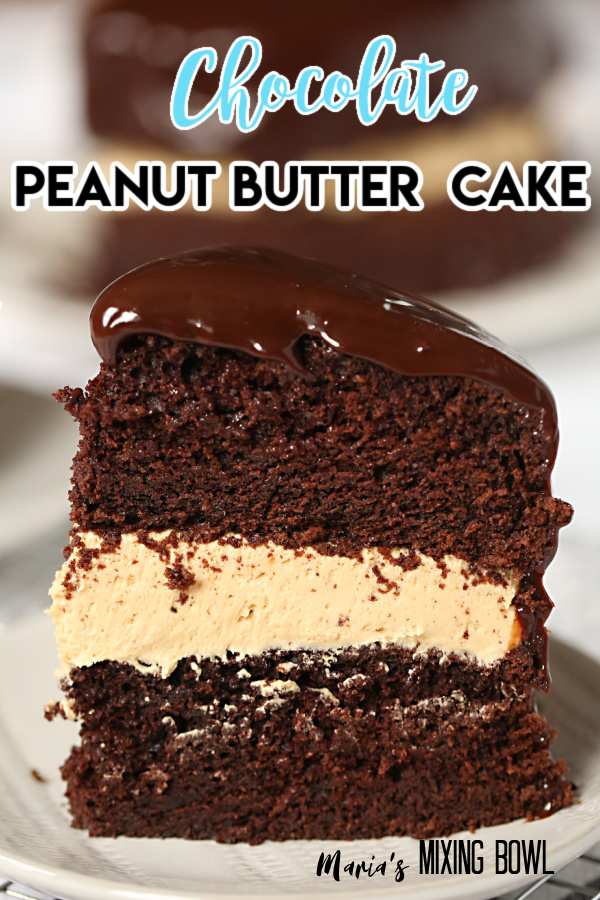 Chocolate peanut butter cake on a white plate