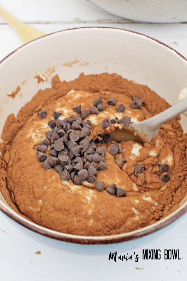 cocoa powder mixed into pancake mix with chocolate chips
