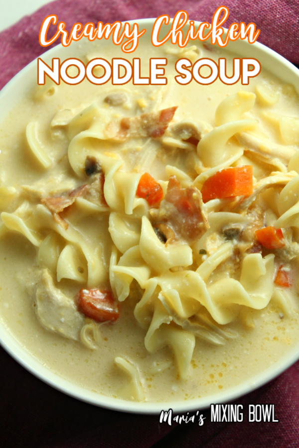 Creamy Chicken Noodle Soup