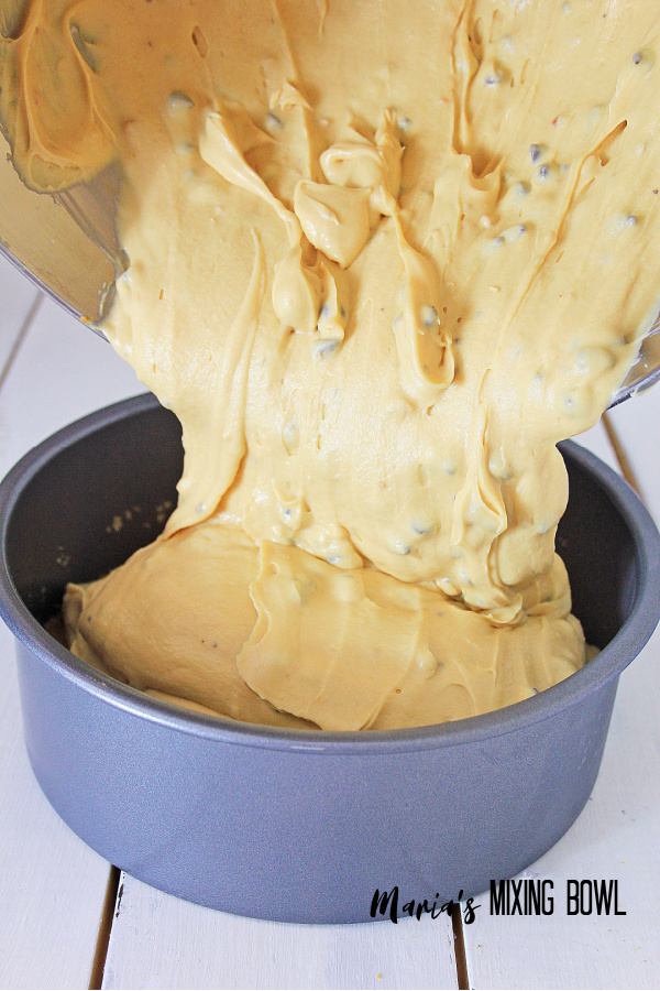 mixed batter for cake poured in prepared pan