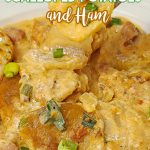 scalloped potatoes on a white plate