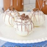 RumChata Cocoa Bombs with topping on a white plate