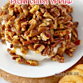 Sweet and Savory Pecan Cheese Spread