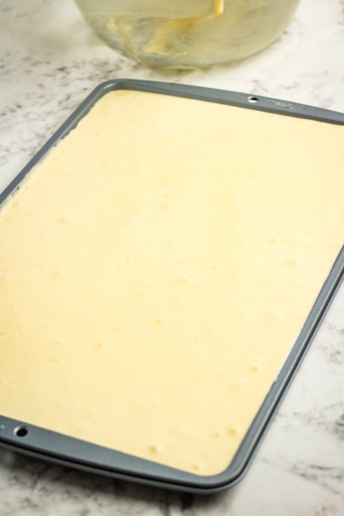Baked cake in pan