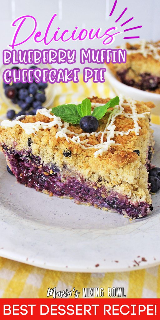 Closeup shot of slice of blueberry muffin cheesecake pie