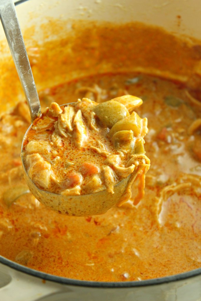 Chicken Fajita soup in a ladle