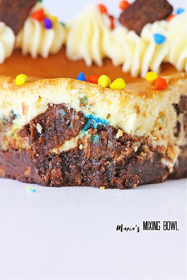 Closeup shot of slice of cosmic brownie cheesecake