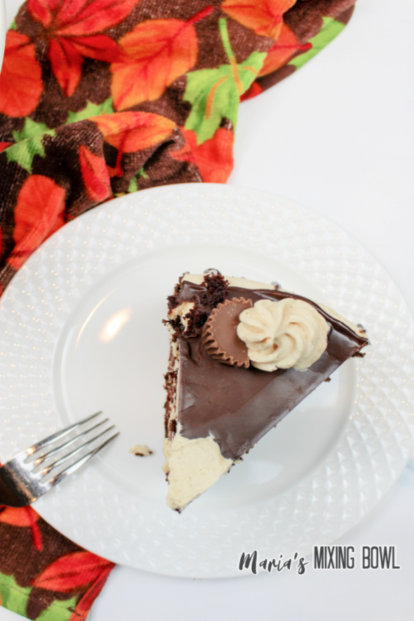 Overhead shot of chocolate cake with peanut butter frosting on white plate