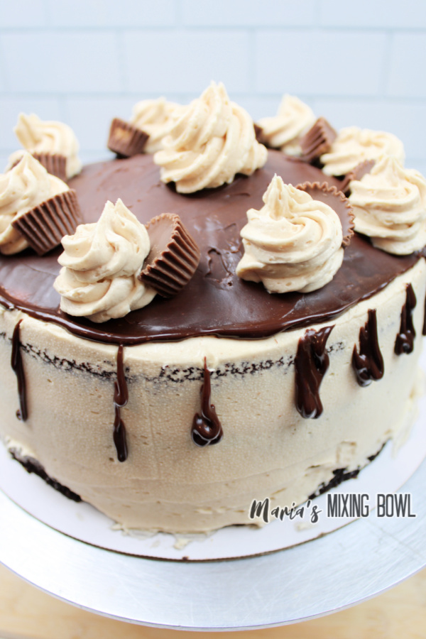 Unsliced chocolate cake with peanut butter frosting on cake stand