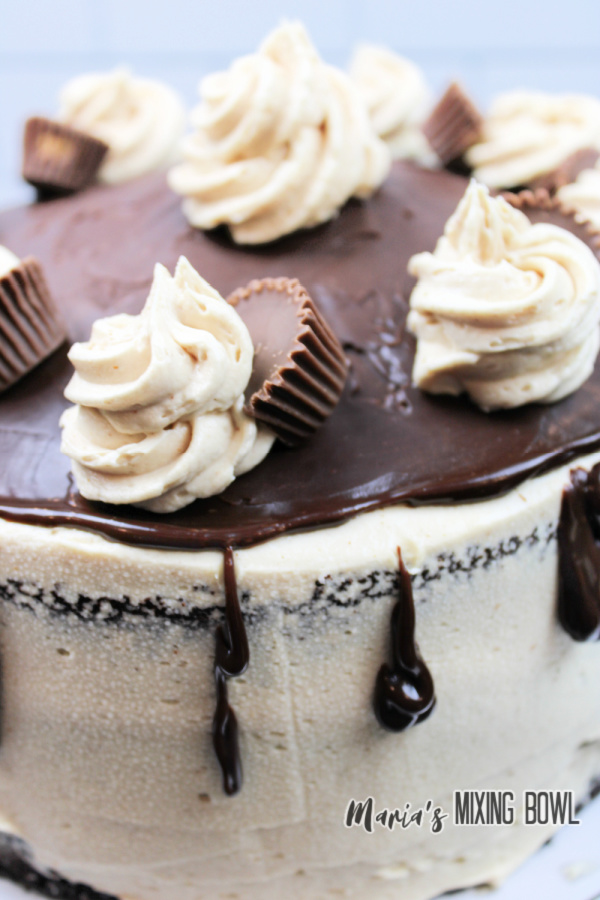 Closeup shot of unsliced cake