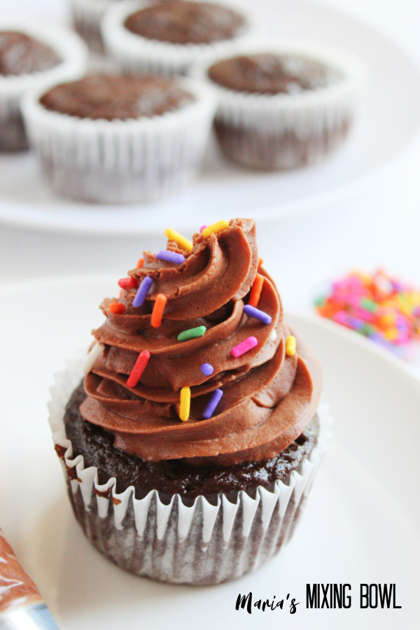 Closeup shot of double chocolate cupcake on white plate