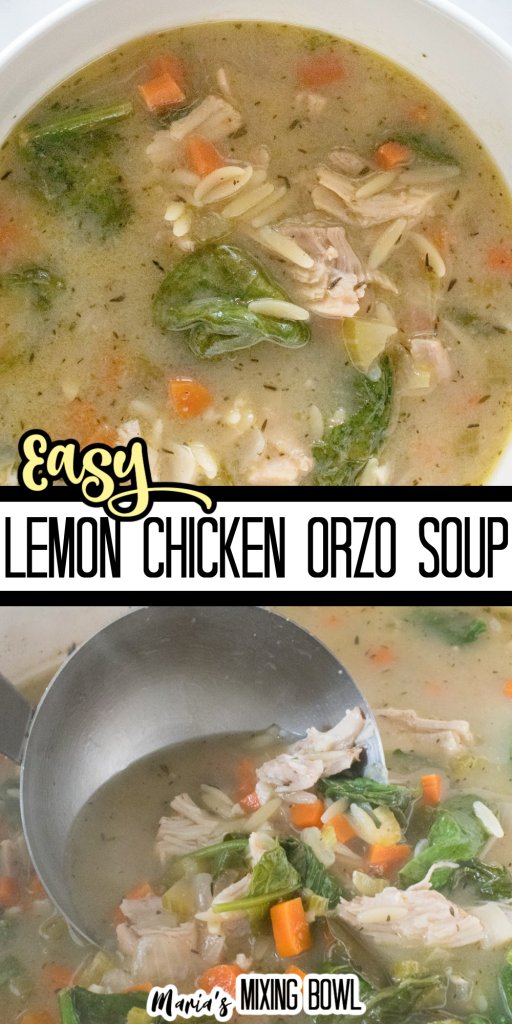 lemon chicken orzo soup in a bowl and in a ladle