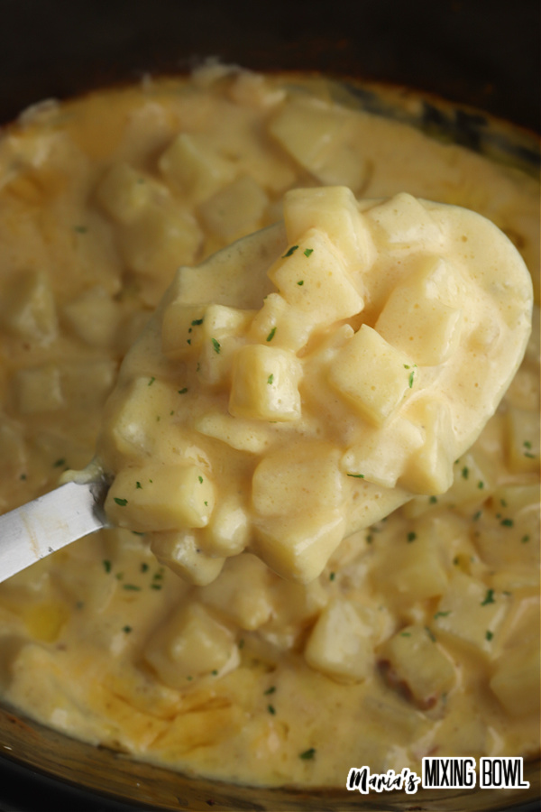 spoon full of cheesy slow cooker potatoes 