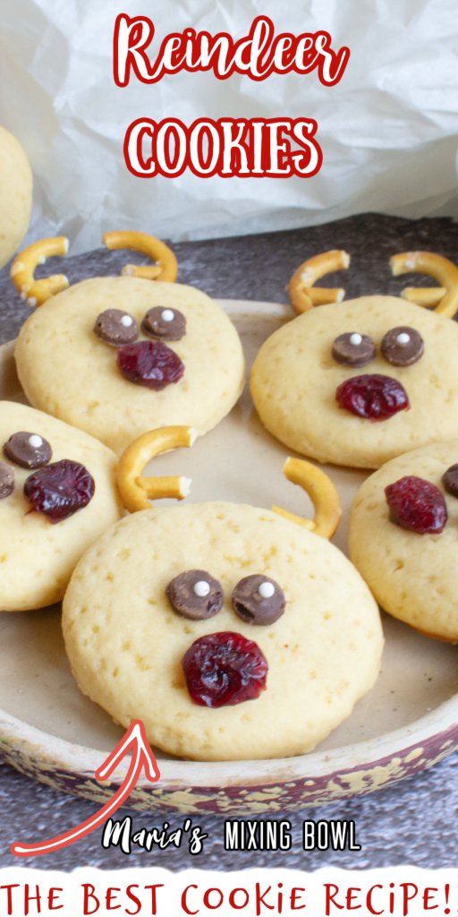 Closeup shot of reindeer cookies on plate