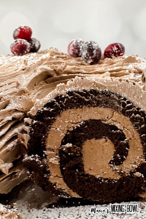 Closeup shot of traditional yule log and its swirled cake and frosting
