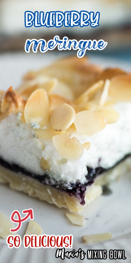 closeup picture of Blueberry Meringue on white plate
