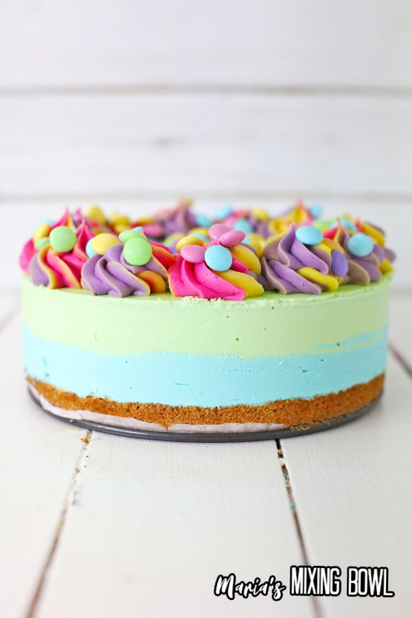 Closeup shot of Easter M&M cheesecake on cake pan