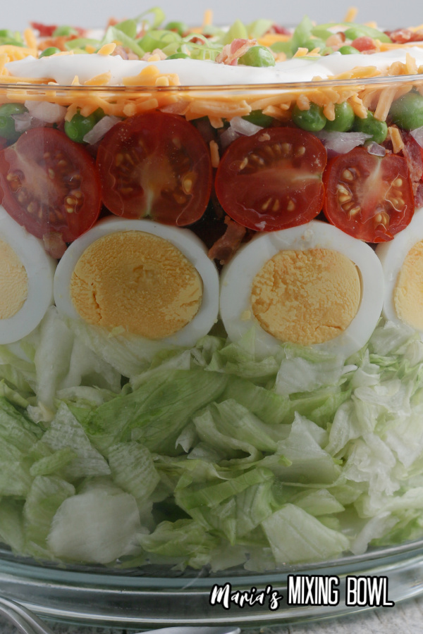 a close up of Seven Layer Salad