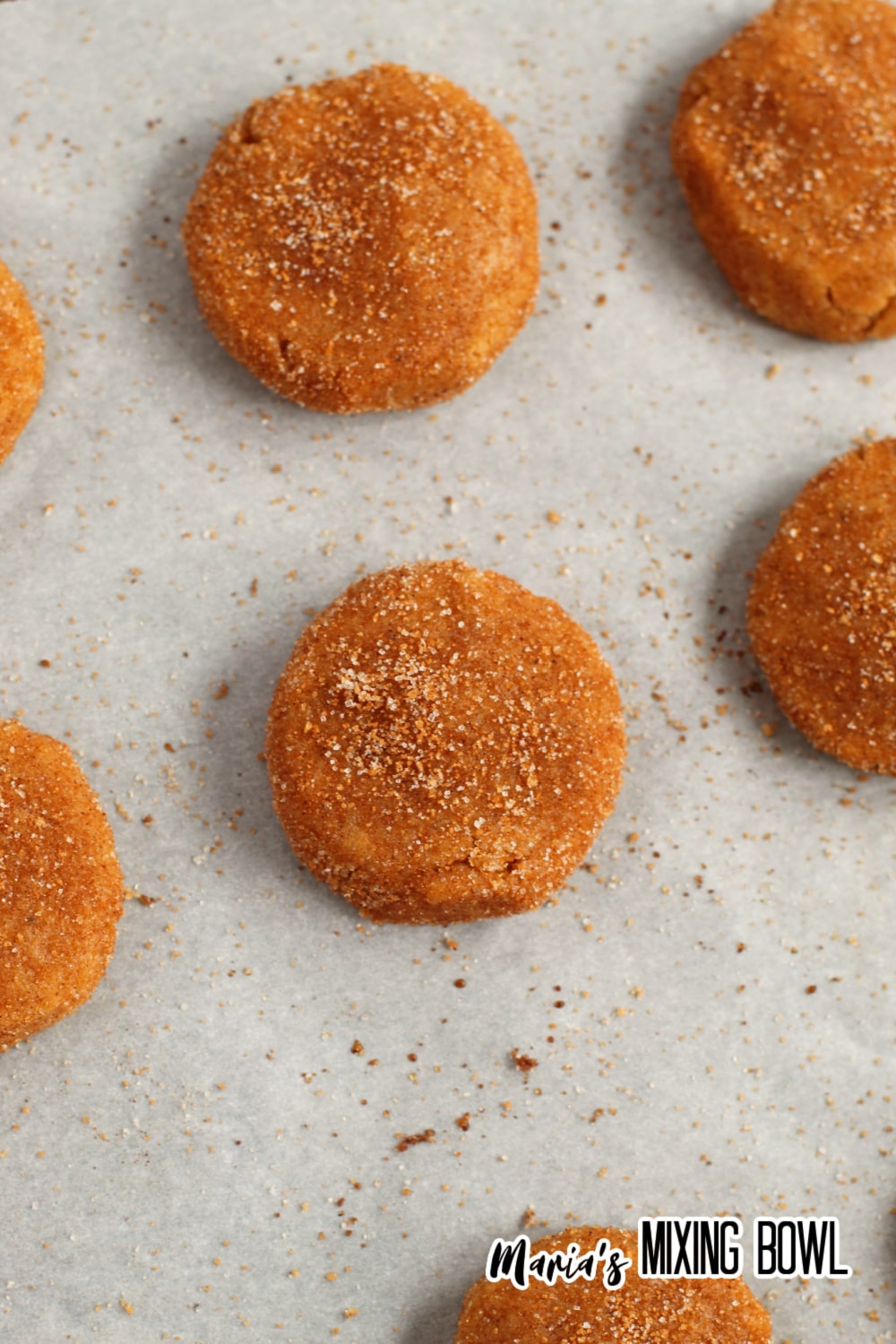 dough ball pressed onto a parchment lined baking sheet