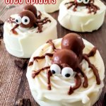 chocolate covered spider cookies on a wooden background with the name in text