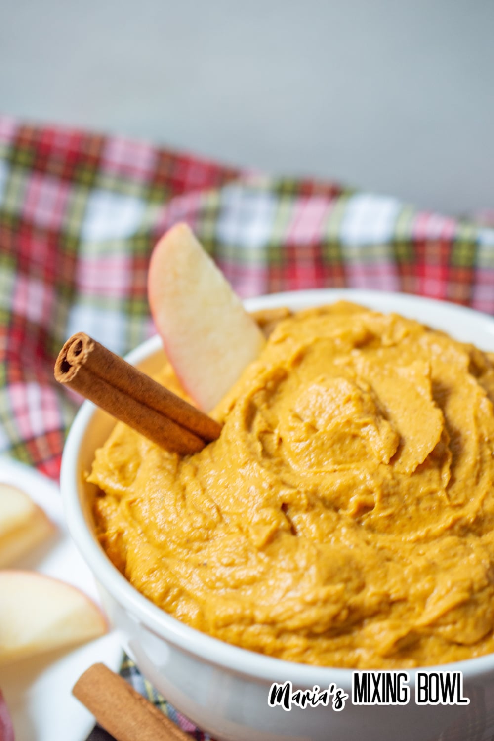 off center of an image of a white bowl filled with easy pumpkin dip with a cinnamon stick and apple slice