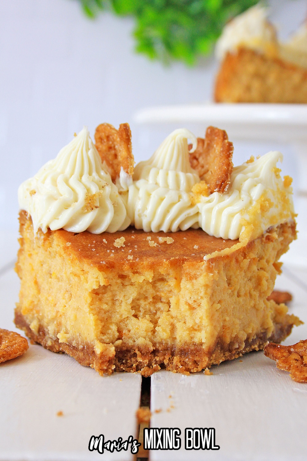 slice of sweet potato cheeecake with a bite missing and with pie crusts leaves on the plate