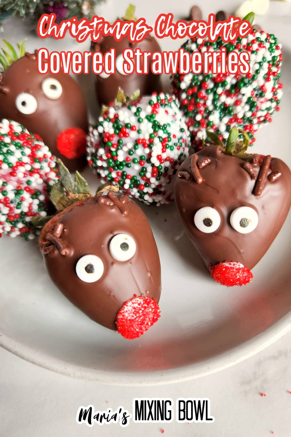 christmas chocolate covered strawberries on a white plate with the name in text for pinterst