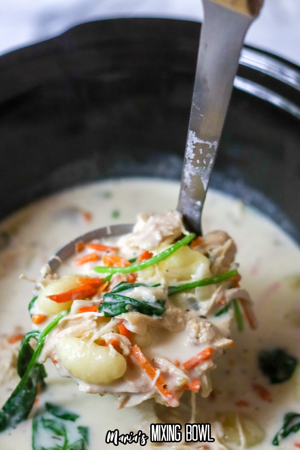 ladle full of gnocchi soup