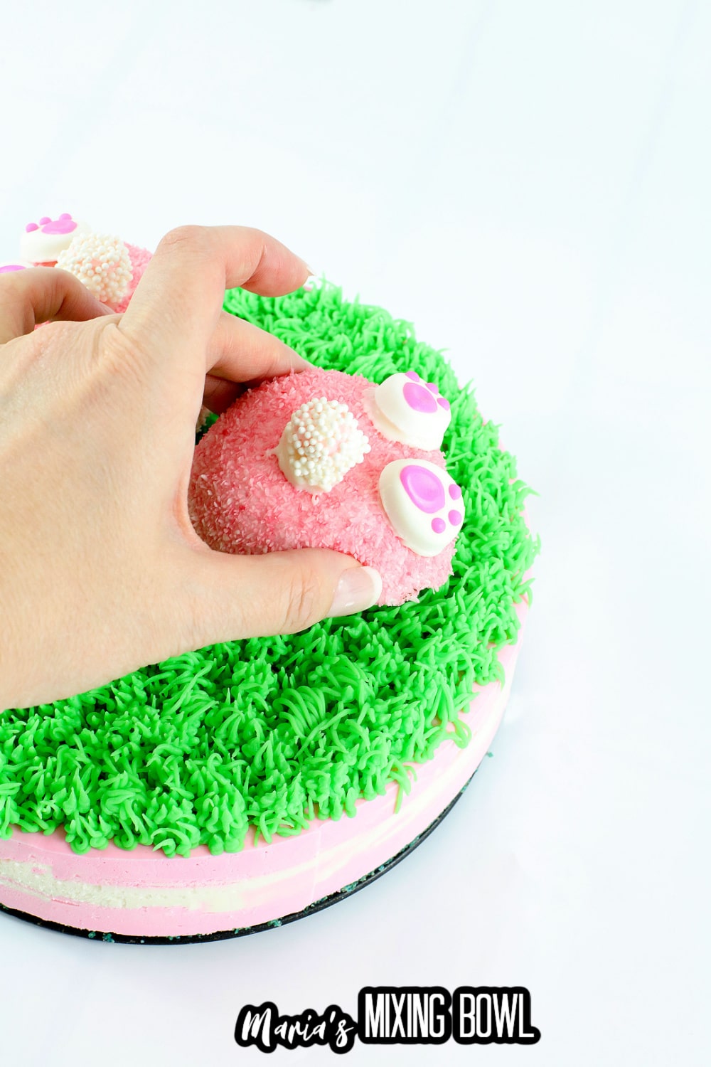 snowball being added to a cheesecake