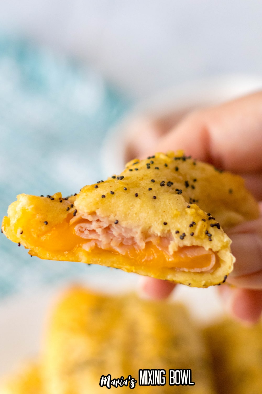 a bite taken out of the ham and cheese sticks