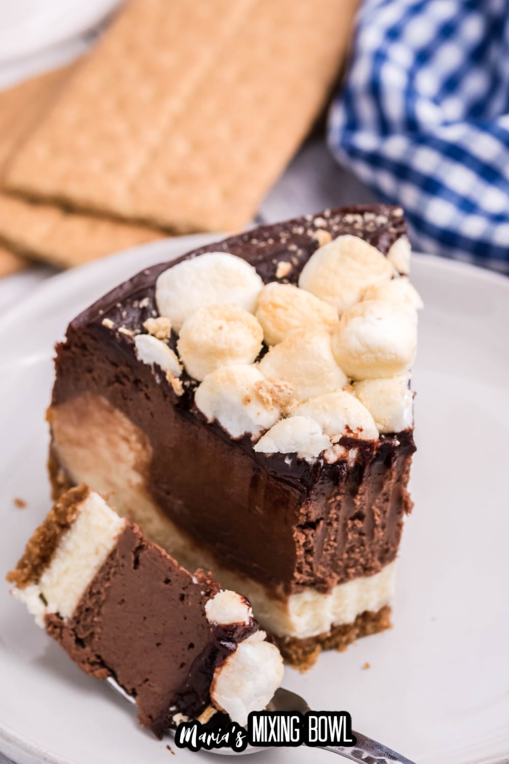 slice of air fryer smores cheesecake on a white plate with a bite removed