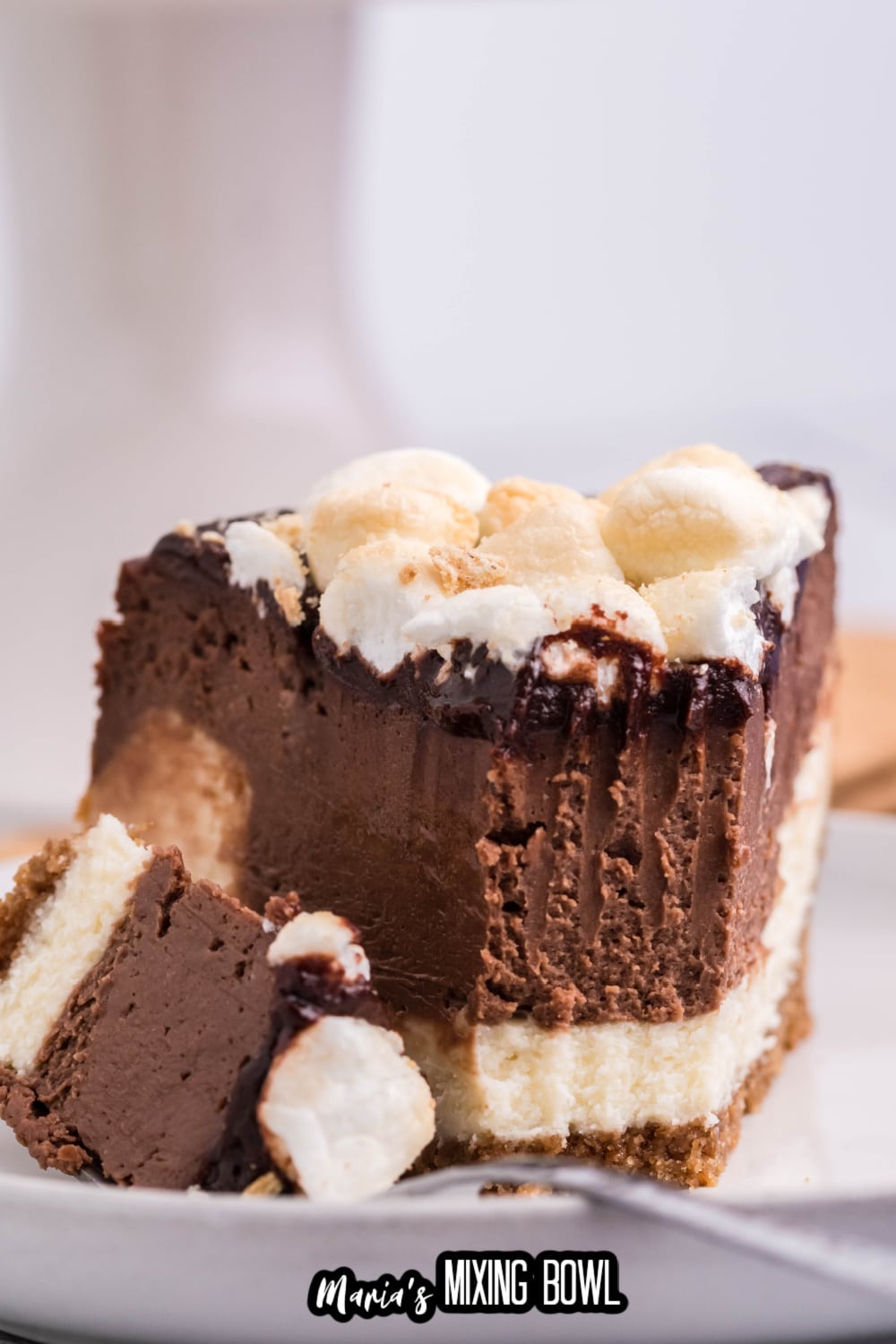 slice of air fryer smores cheesecake on a white plate with a bite removed