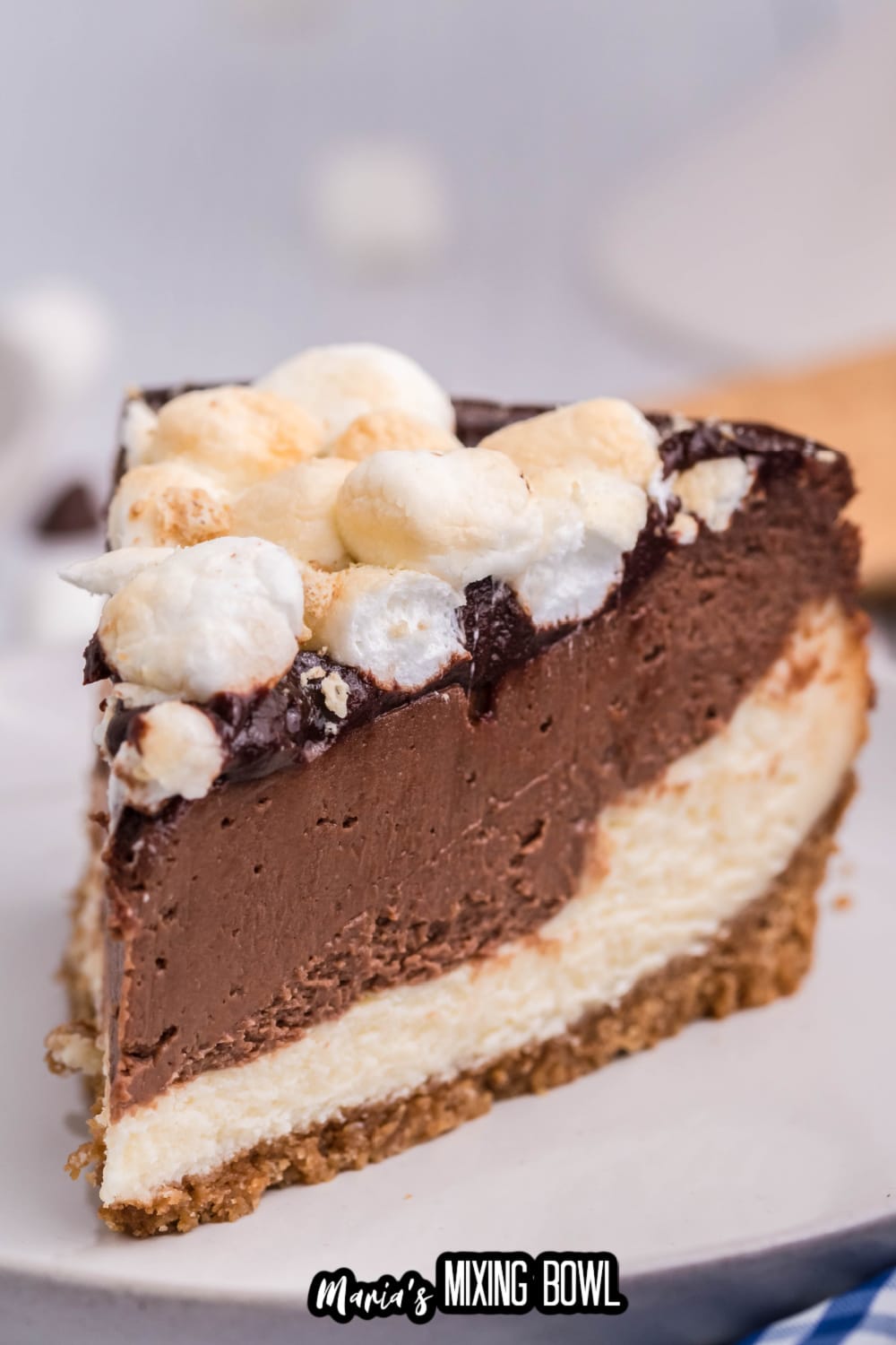 slice of air fryer smores cheesecake on a white plate