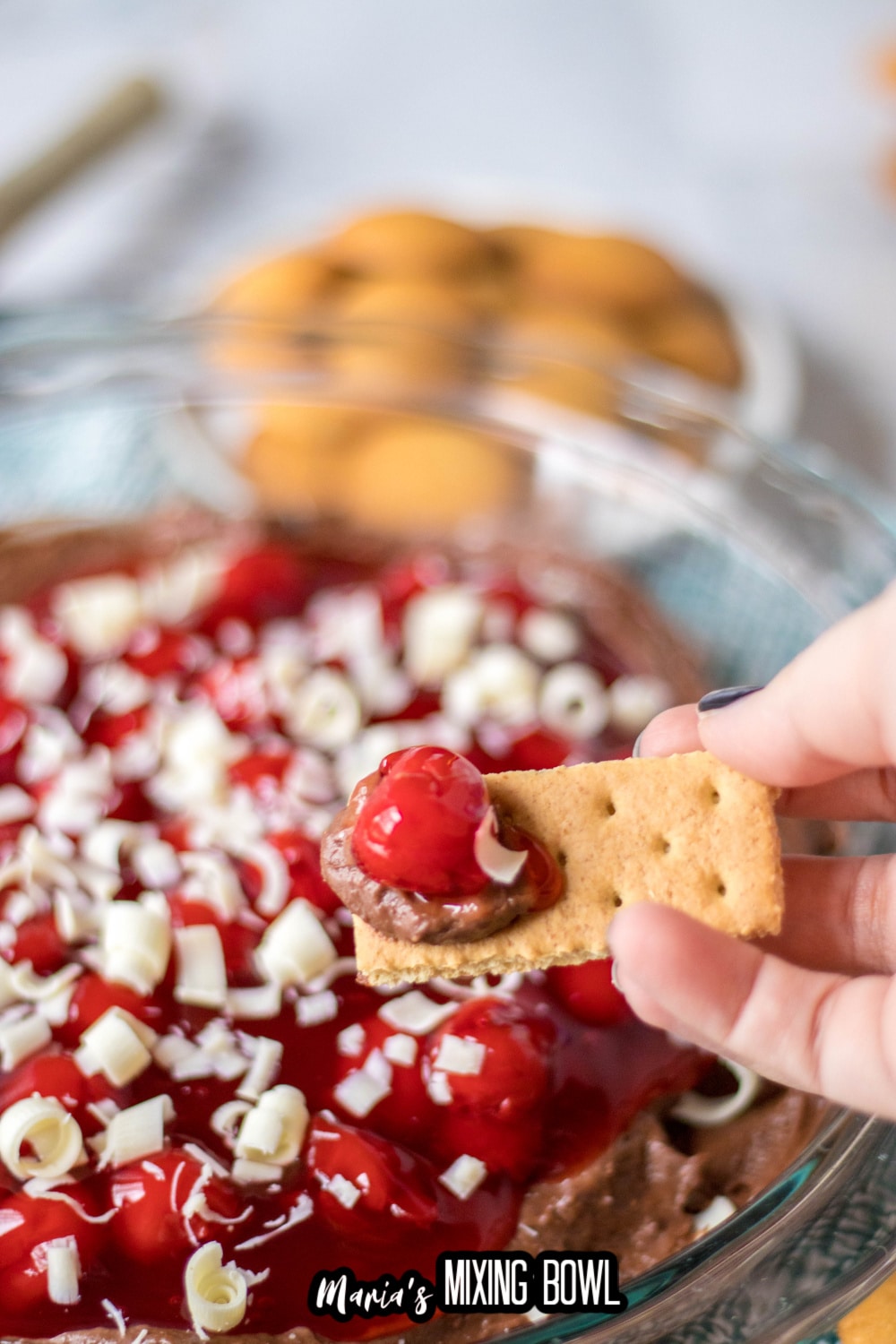 chocolate cheesecake dip with cherries on top on a graham cracker