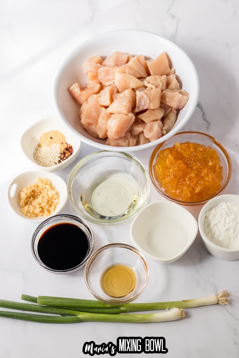 chicken, seasonings, soy sauce, garlic, and green onions
