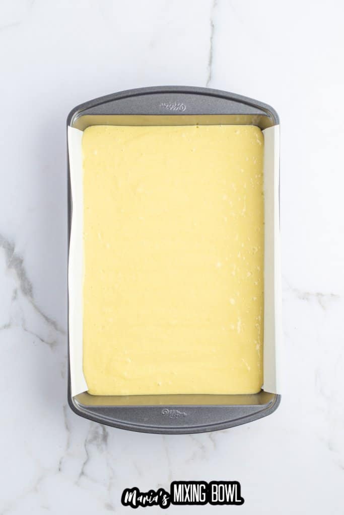 cake bater in a rectangle cake pan