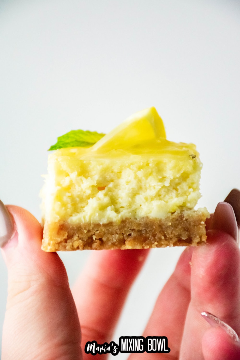 slice of lemon cheesecake bars held in a woman's hand.