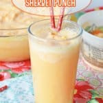 glass of orange sherbet with two straws in it.