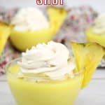 dole whip shot in a small glass bowl garnished with a slice of pineapple