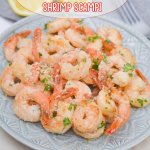 light blue and white plate full of shrimp scampi