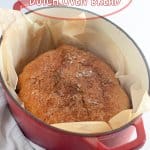 baked dutch oven bread in a parchment lined dutch oven