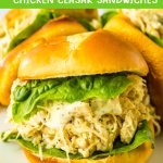 three chicken ceasar sandwiches on a white plate.